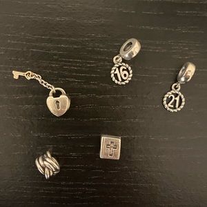 Assorted Pandora Charms ✨